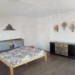 Stefanov In Byala Daire