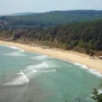 Stefanov In Byala Daire *