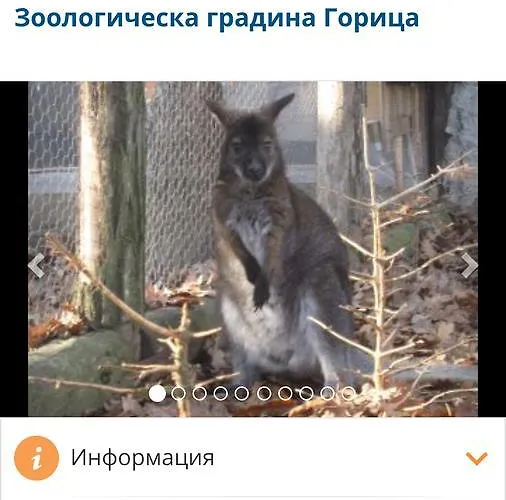 Διαμέρισμα Stefanov In Byala *