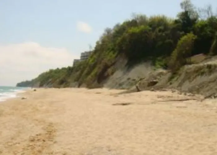 Stefanov In Byala Byala (Varna)